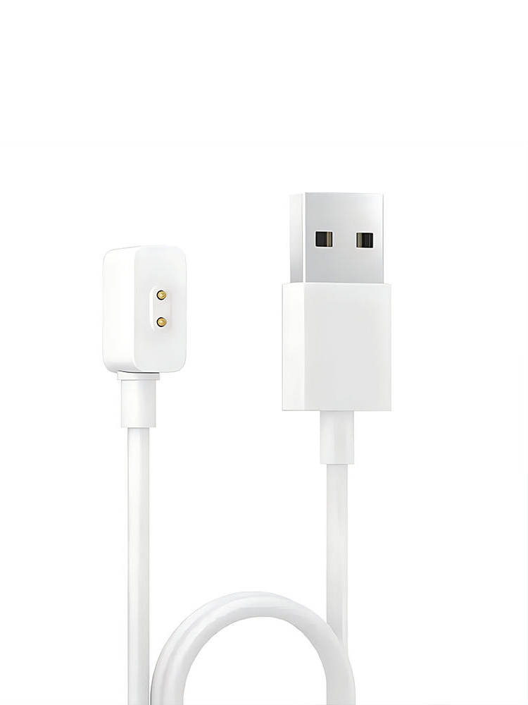 Magnetic Charger for Xiaomi Sm - đánh giá và giá Usb Extender Active